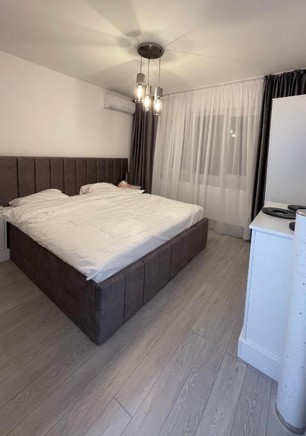 Oxana Apartments - 3 Camere - Timisoara Exterior foto