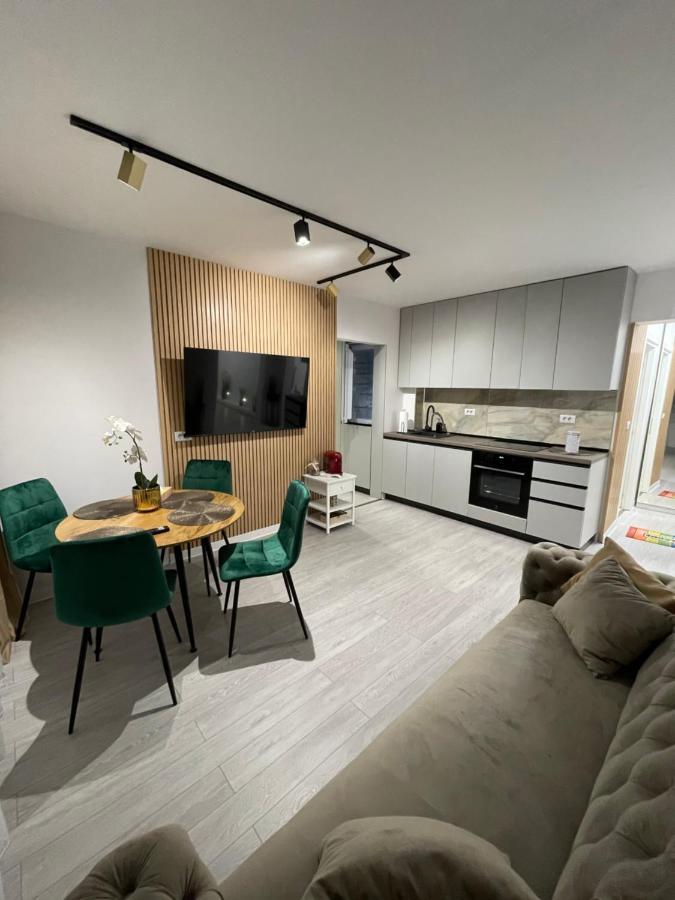 Oxana Apartments - 3 Camere - Timisoara Exterior foto